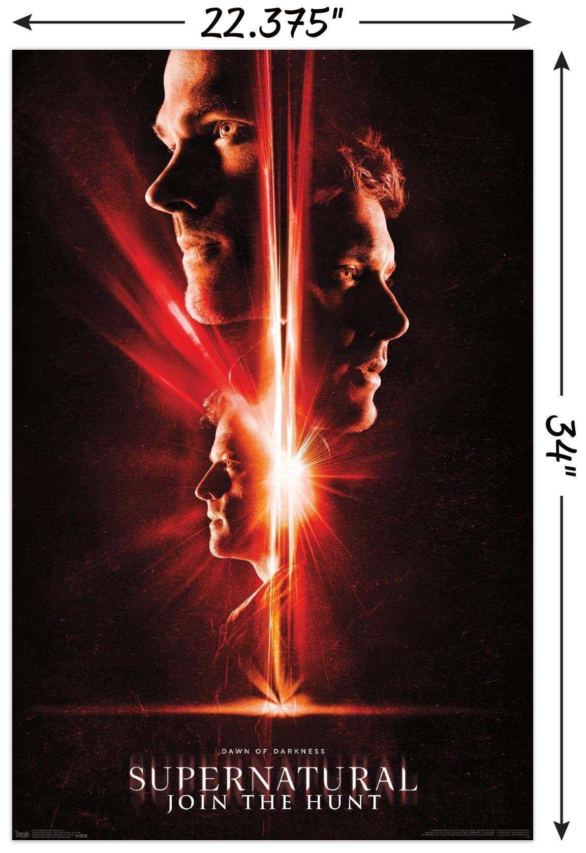 Amazon.com: Supernatural - Season 13 Wall Poster, 34L