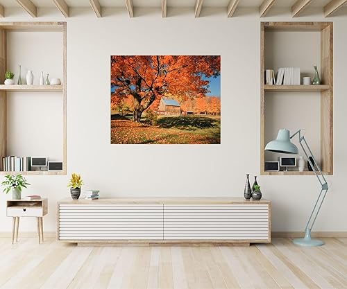Miniatura 2 de Póster de árboles caídos de Nueva Inglaterra, paisaje de otoño, escena de naturaleza, paisaje, decoración de pared (16 x 20 pulgadas)