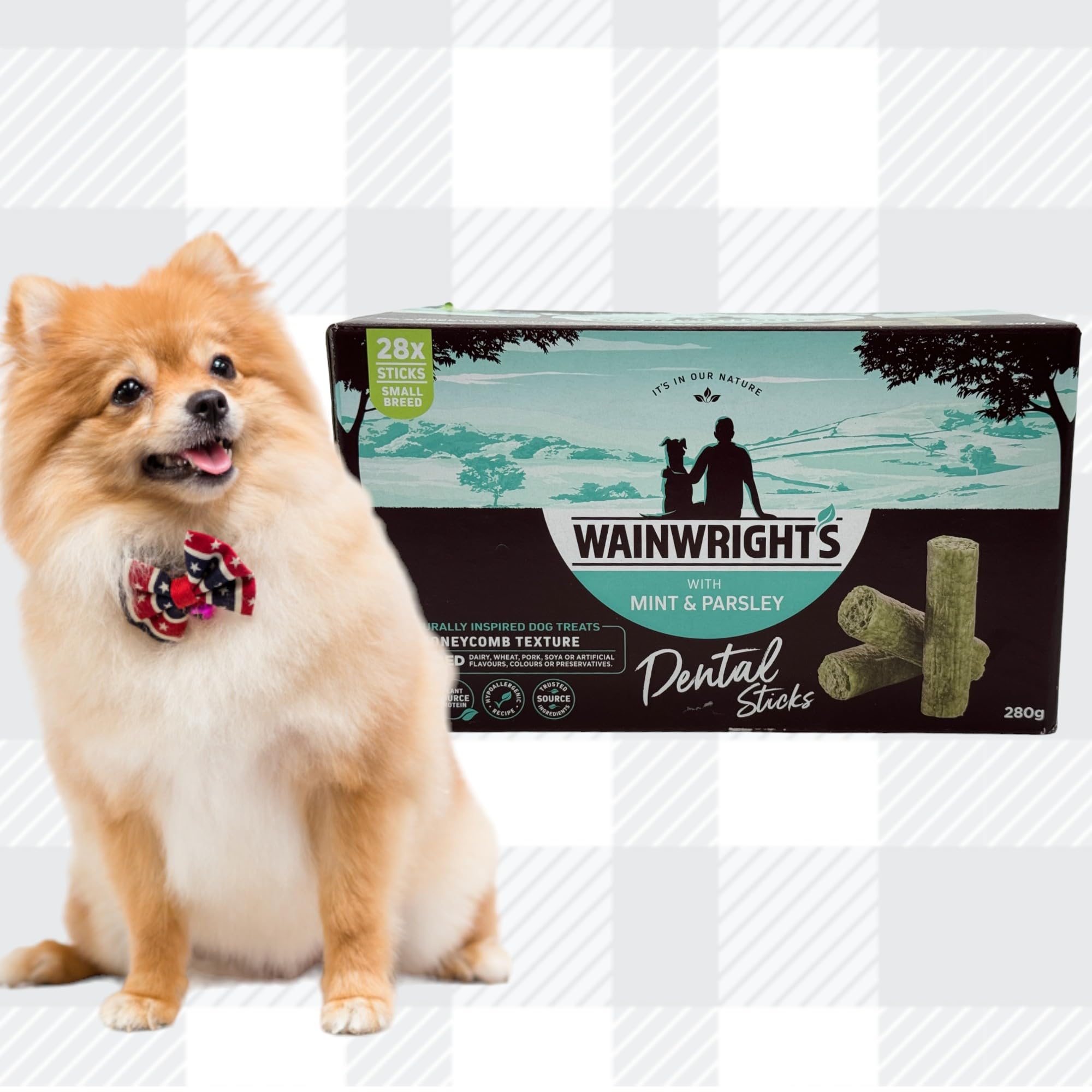 AETN Creations Bundle of Dental Sticks for Small Breed Dogs in Mint and Parsley 1x28 (280g) Sticks to Support Oral Health - Image 4