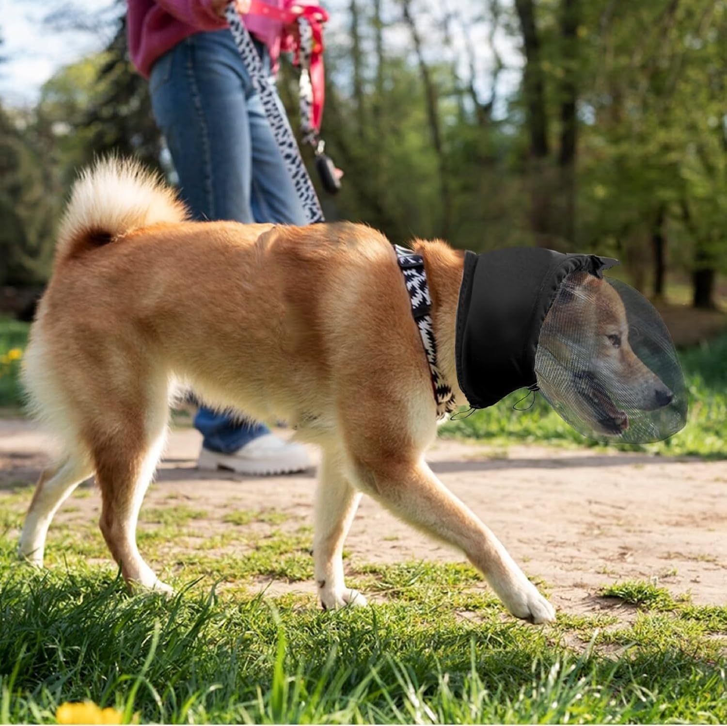 Field Guard for Dogs Outdoor Hiking Camping Foxtail Mask for Dogs (Medium)