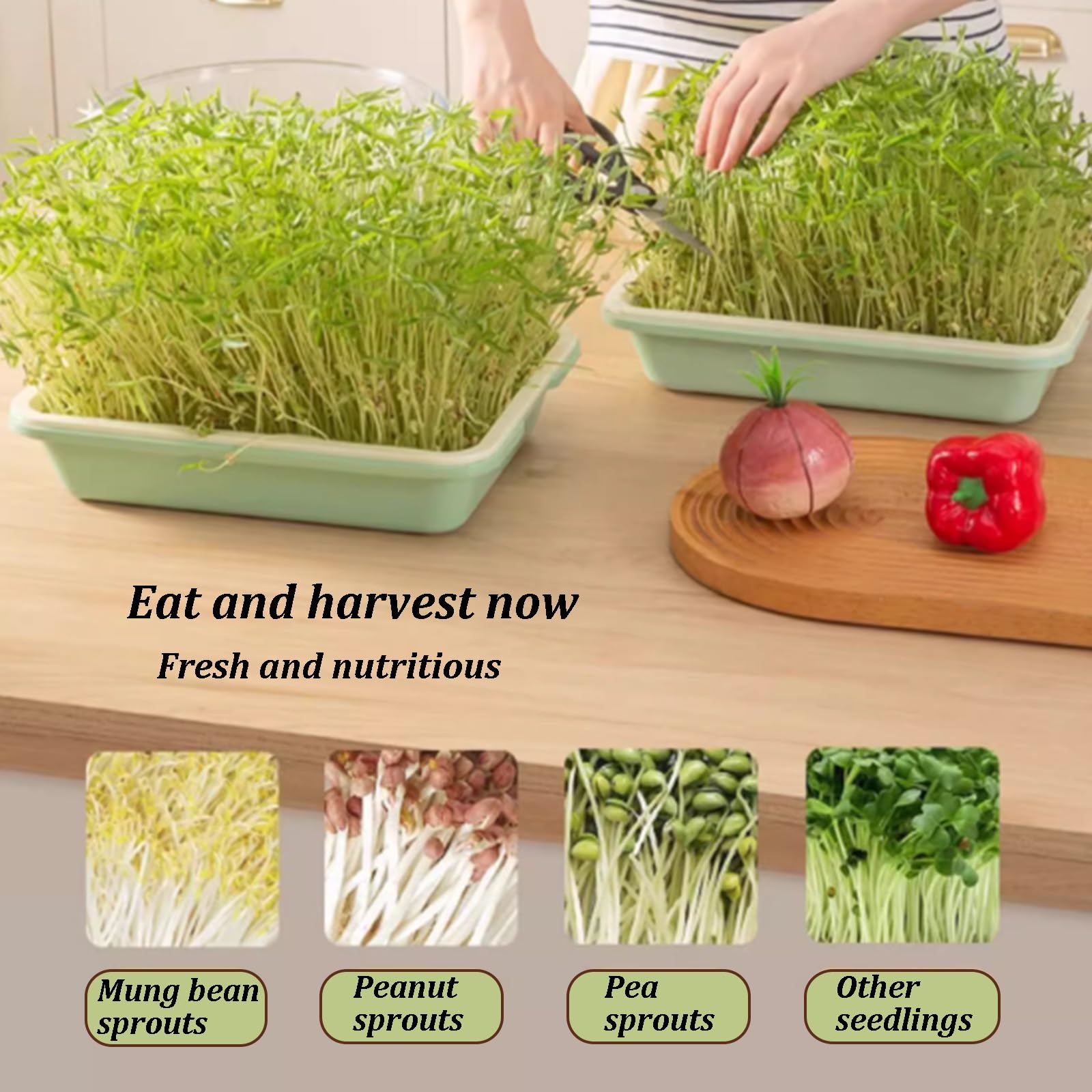 Sistema de cultivo hidropónico con estante de metal y ruedas, bandeja de plantación cifrada, ideal para patio, patio trasero o cocinas