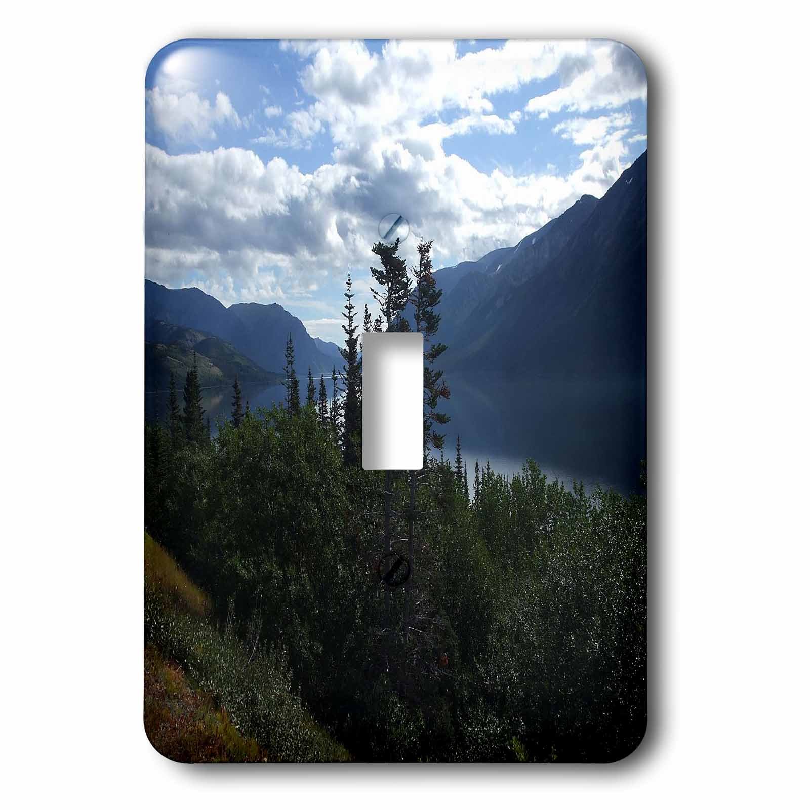 Interrupteur Alaska pour remplacer une plaque murale blanche et ennuyeuse