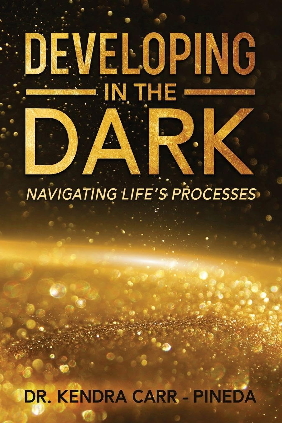 Developing In The Dark: Navigating Life's Processes      Paperback – January 23, 2026