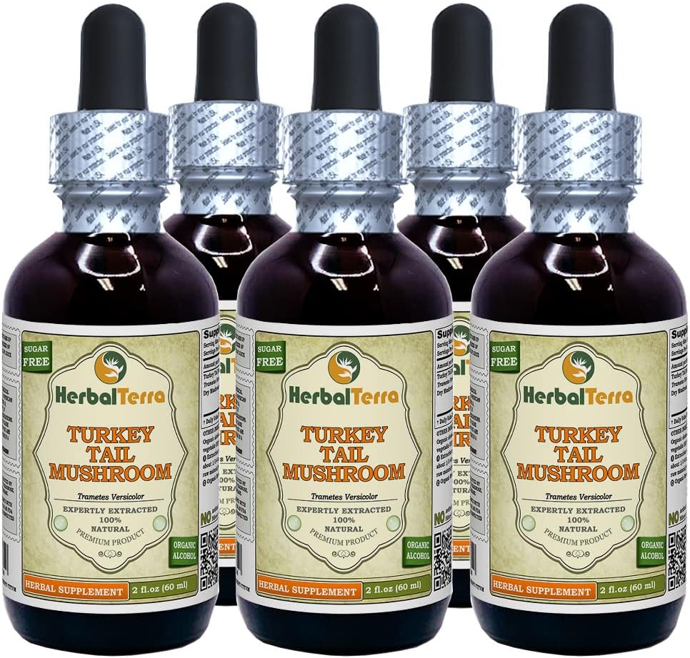 Turkey Tail Mushroom (Trametes Versicolor) Glycerite, Dried Mushroom Alcohol-Free Liquid Extract (Brand Name: HerbalTerra, Proudly Made in USA) 2x4 fl.oz (2x120 ml)
