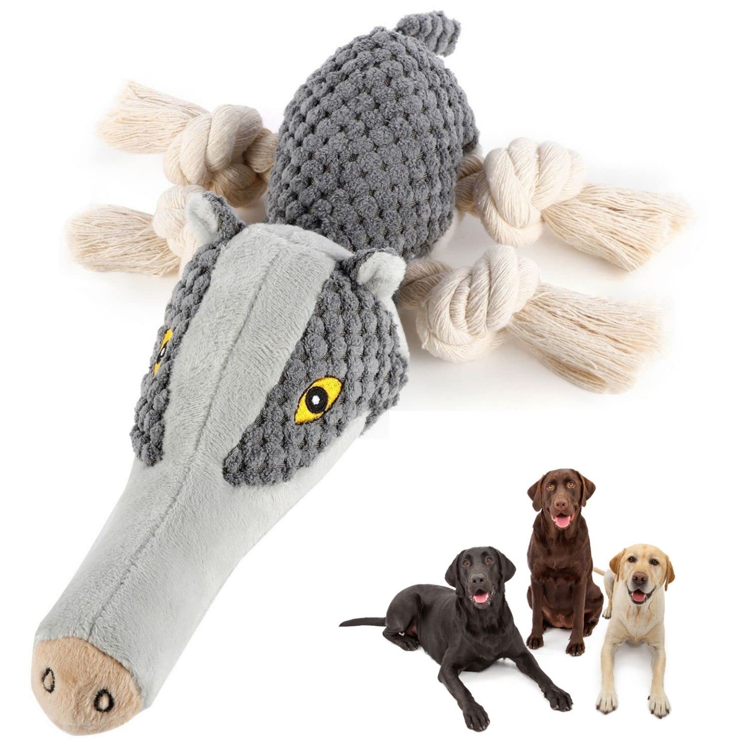 Why Does My Dog Nibble On Toys