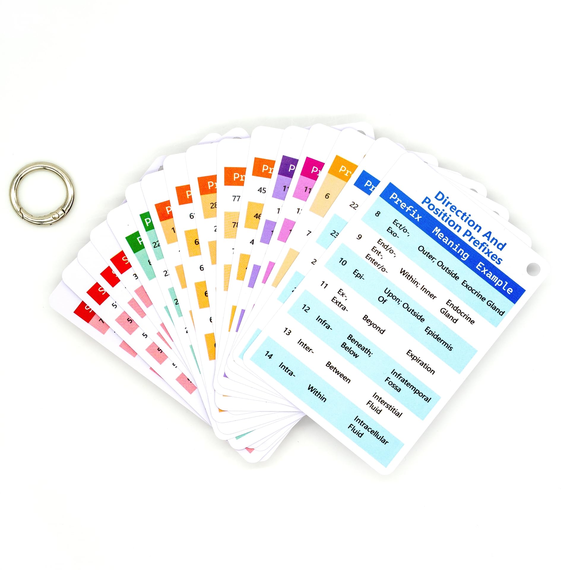 Medical Terminology Flash Cards 2025 - Essential Accessories for Paramedic & Pharmacology Flash Cards | Learn 187 Prefixes & 81 Suffixes with Ease | Nursing School Bundle & LPN Must-Haves