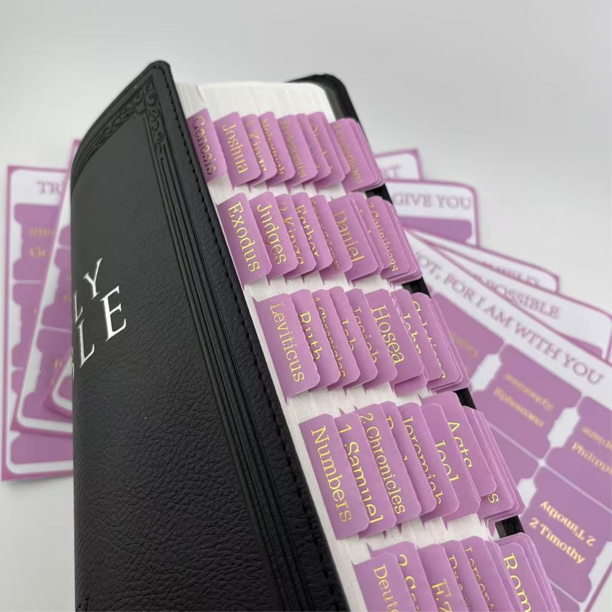 Pink Bible Tabs with Gold Words - 75 Bible Index Tabs for Christian Gift Idea for Bible Lover Suitable for Children Adult Study Bible Easy to Use