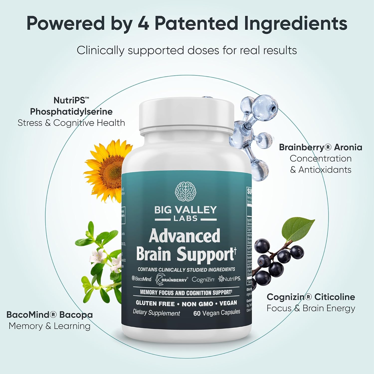Advanced Brain Supplement – BacoMind® Bacopa, Cognizin® Citicoline, Phosphatidylserine, Velvet Bean, Brainberry®, BioPerine® – Supports Focus & Memory – Non-GMO – 60 Capsules - Image 3