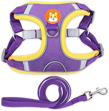 Amazon Co Jp 犬用 ハーネスリード 可愛い 犬 着物 首輪 ハーネス リード セット 胴輪 犬用 通気性 おしゃれ 軽量 ペット用品 散歩 お出かけ用 ワンちゃん 調節可能 簡単脱着式 ウォーキング ジョギングのためのパーフェクト チワワ トイプードル テリア マルチーズ Amazon Co Jp 犬用 ハーネスリード 可愛い 犬 着物 首輪 ハーネス リード セット 胴輪 犬用 通気性 おしゃれ 軽量 ペット用品 散歩 お出かけ用 ワンちゃん 調節可能 簡単脱着式 ウォーキング ジョギングのためのパーフェクト チワワ トイプードル テリア マルチーズ