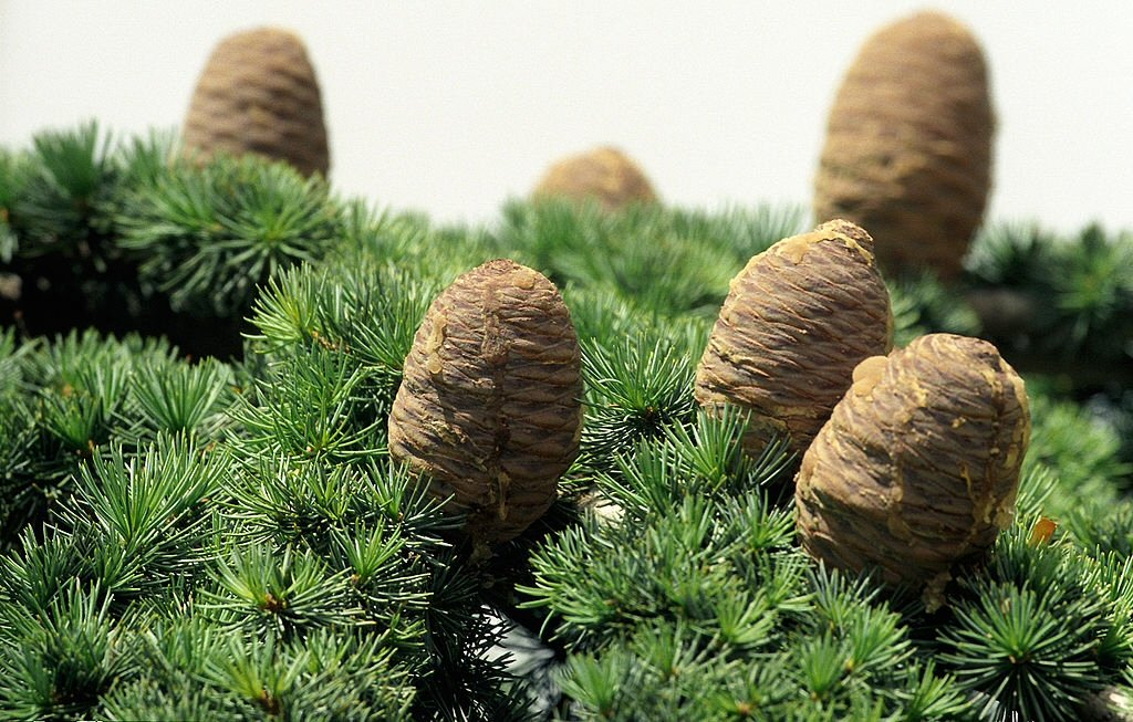 View 2