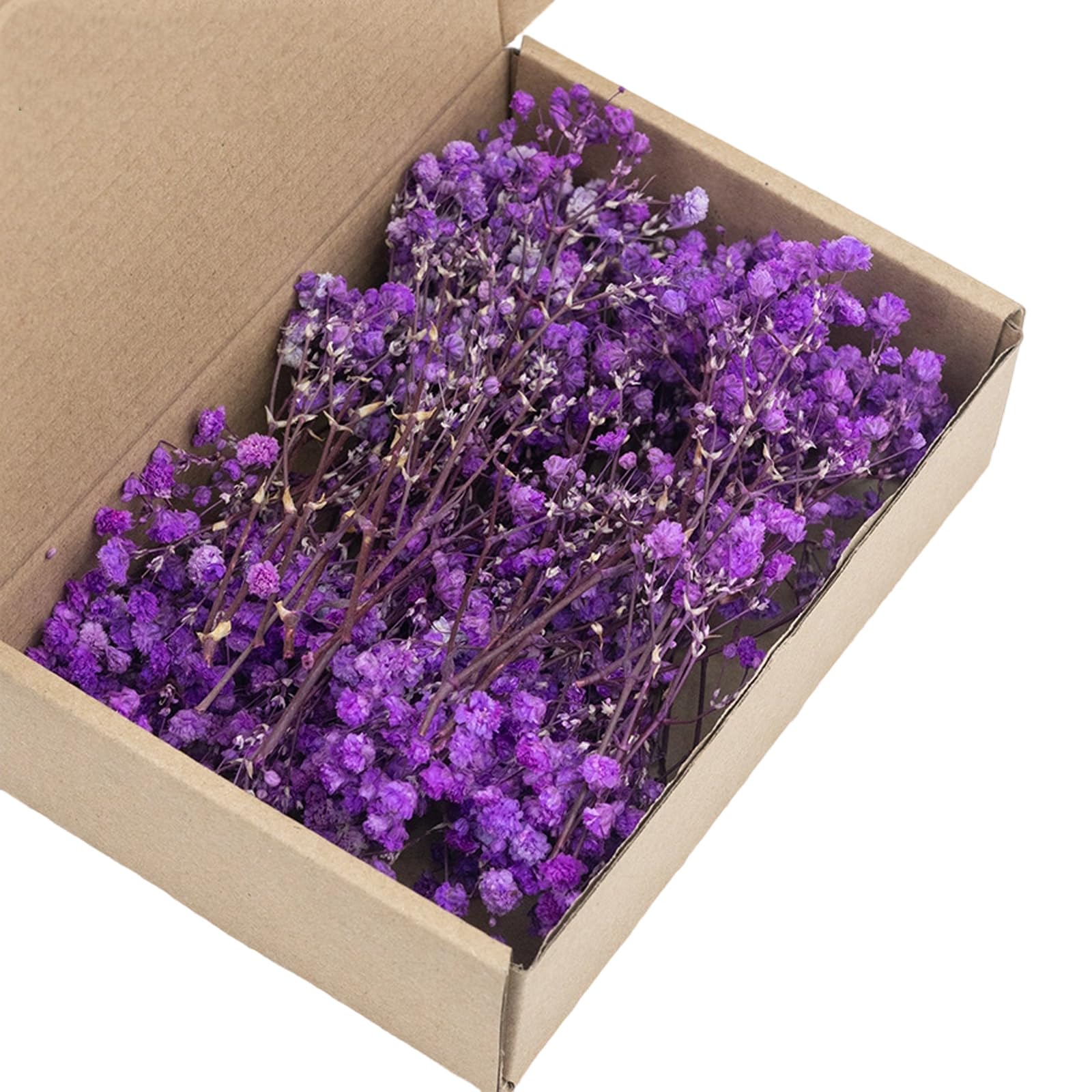 Veltros Of 50 Dried Gypsophila Bunch Everlasting Floral Stems for Vase Arrangements Decoration Table Centerpieces Floral Arrangement Supplies