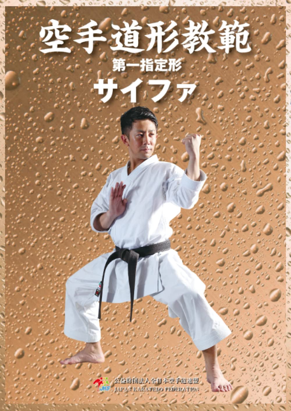 空手　指定形　武道　テコンドー　武術 715gIZdaItL.jpg