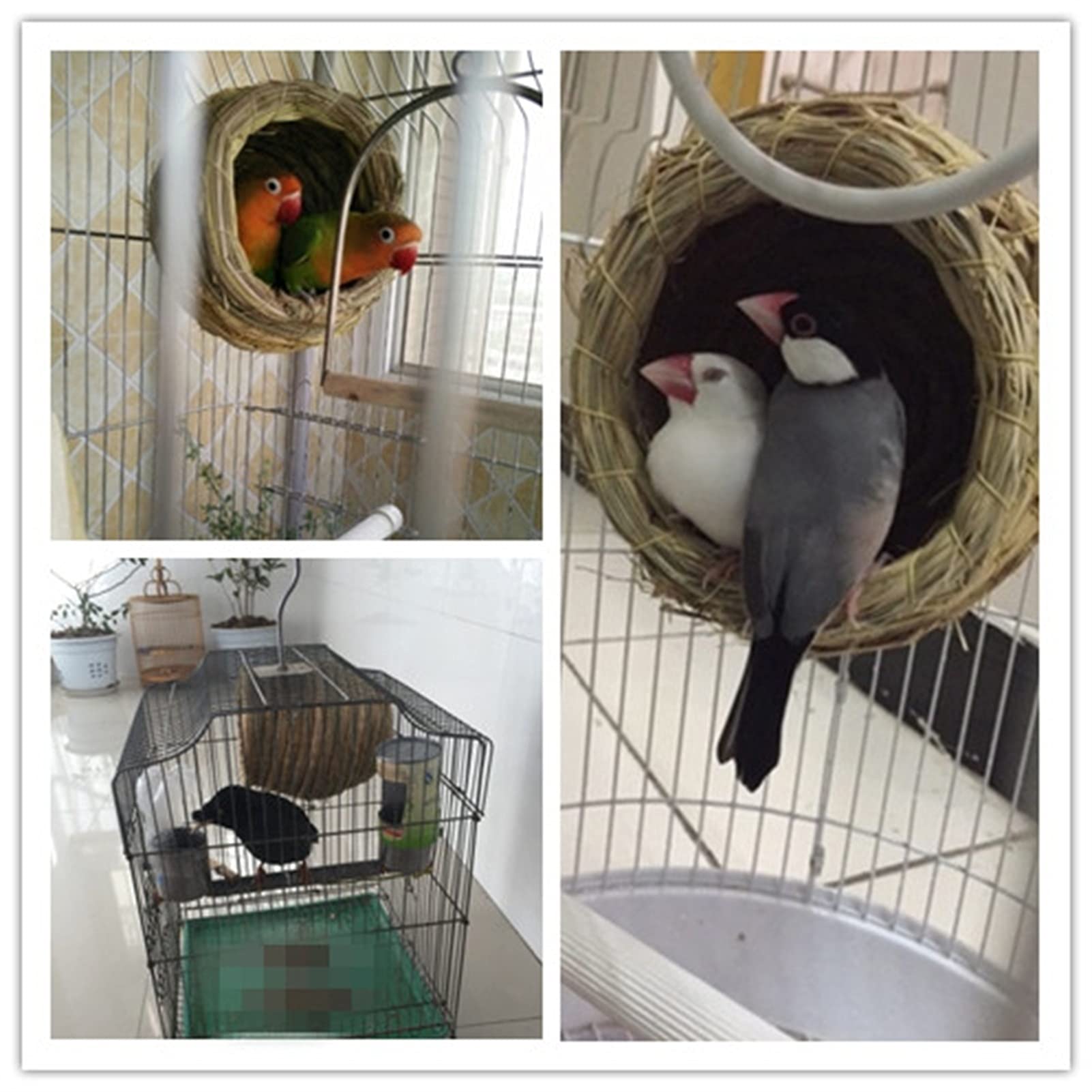 Casa para pájaros Nido para pájaros Tejido a Mano, Casa para pájaros Envuelta en Tela de algodón, Nido para pájaros para Mascotas cómodo y cálido (Color: Verde)
