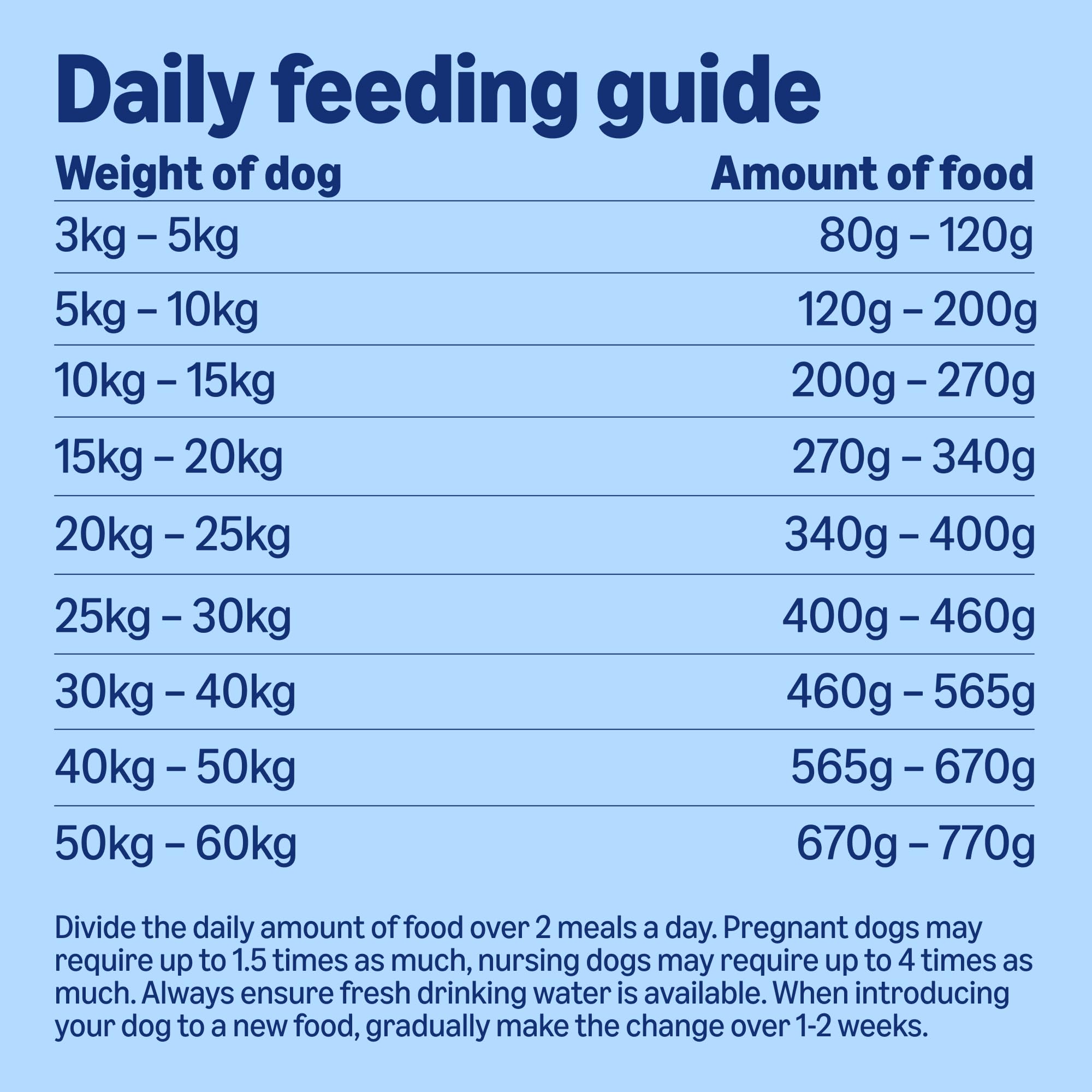 by Amazon - Complete Dry Dog Food for Adult Dogs, Rich in Lamb and Rice, 1 Pack of 5kg — view 5