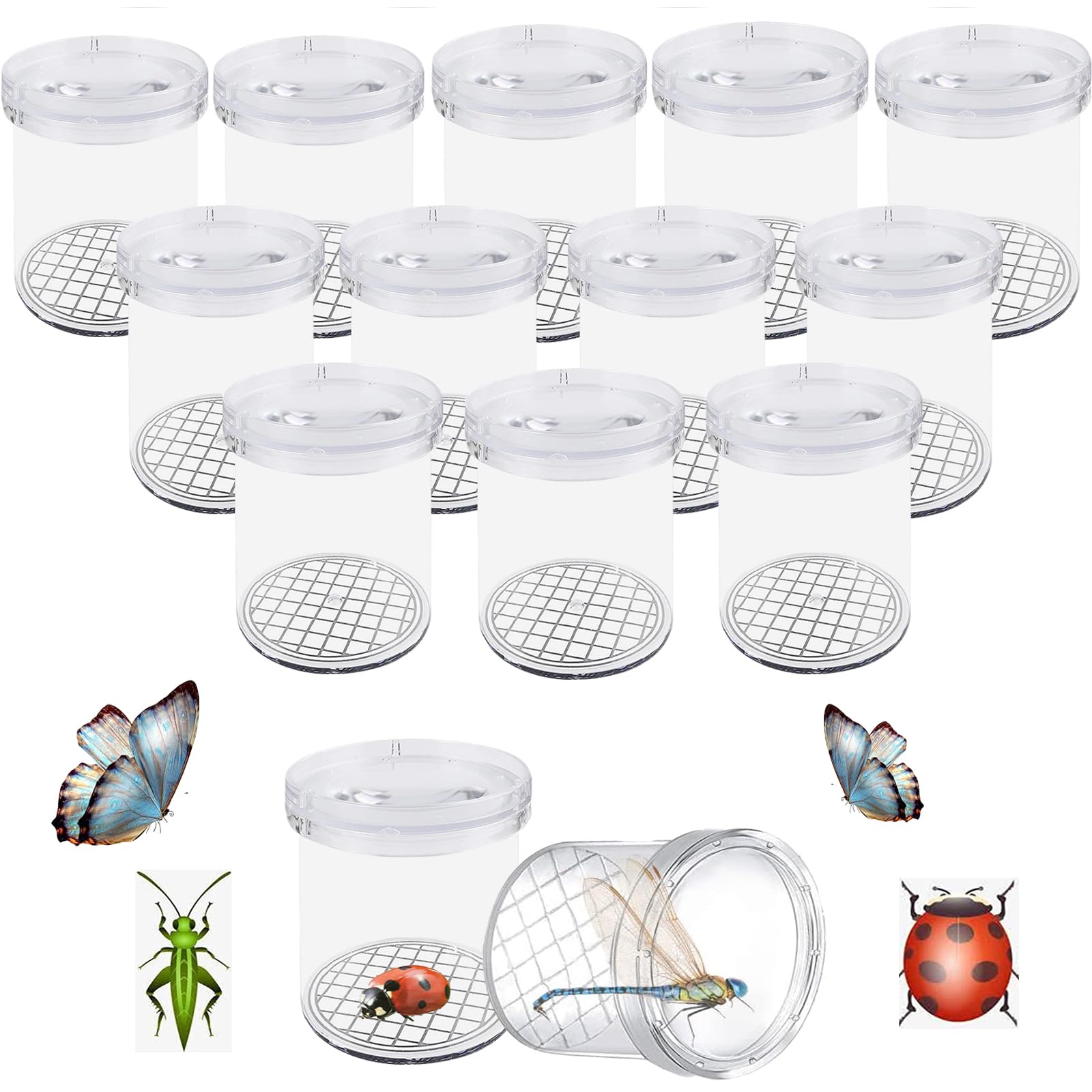 Insect Viewer,Tianher 12 Pieces Clear Children's Magnifying Insect Container Kids Bug Catchers for Children Natural Educational Science Learning