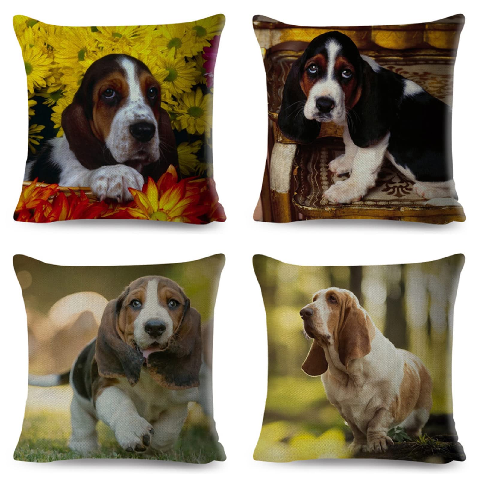 Cuscini, Cuscini Divano, Copricuscini, Fodere Cuscini, Federa Cuscino, Cuscini Decorativi, Cuscini per Divano, Cuscini Letto, Federe Cuscini Divano, Cuscino da Divano, 4 Pezzi Cane di fiori 40x40 D410