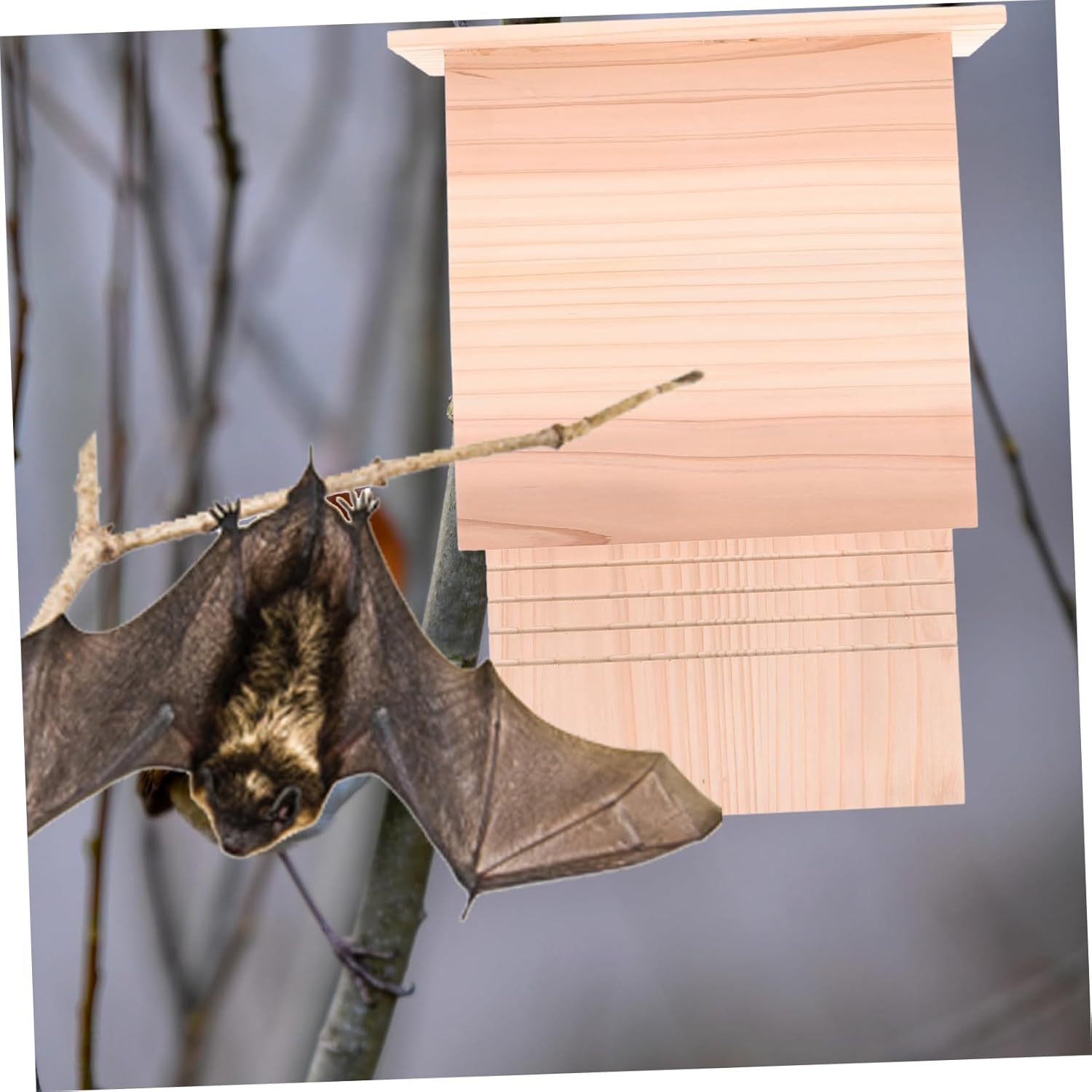 Bat Bat Box for Garden Backyard Use Habitat Easy to Install Design for -Term Use