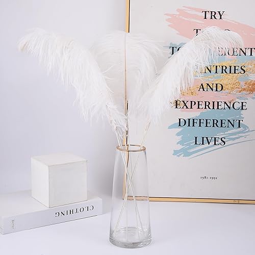 Miniatura 7 de Ballinger Plumas de avestruz grandes blancas  12 piezas de 24 a 26 pulgadas, kit de fabricación de plumas de avestruz a granel para jarrón, centros