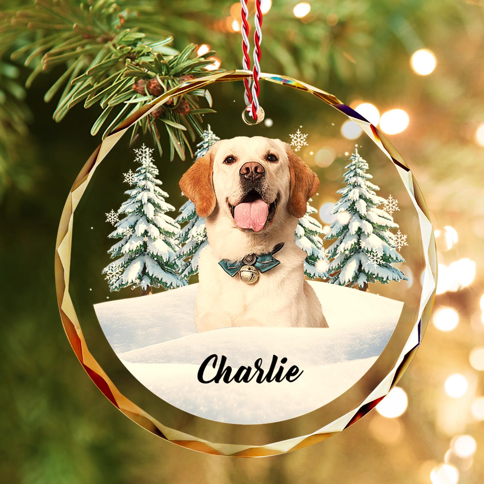 Bemaystar Personalised Crystal Dog Christmas Baubles with Photos โ Personalised Christmas Bauble for Dog on Christmas Tree, Christmas Decoration, Personalized Christmas Gift for Dogs and Cats โ image 1