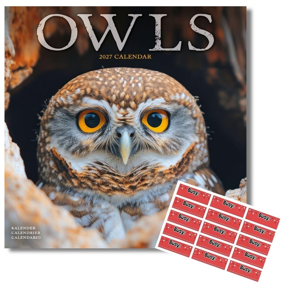 Avonside Owls 2027 Calendar with Organisational Stickers, 16 Month Square Wall Calendar (Sept 2026 - Dec 2027), UK Planner for Bird Lovers, Home or Office, 11.6 x 11.6 in