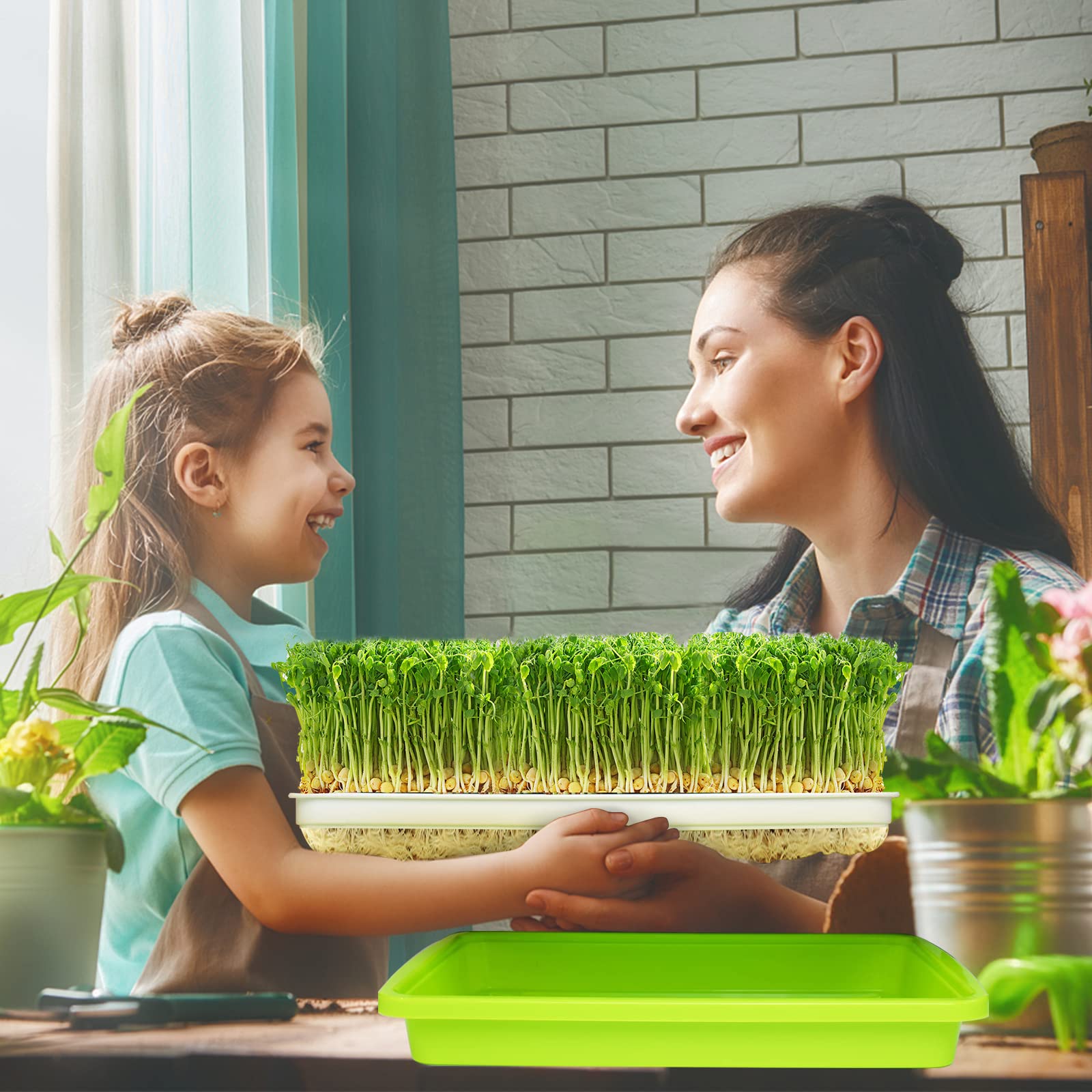 Kit Per Germinazione Semi - Vassoio Senza Suolo | Coltiva Germogli In Casa - Foto 5