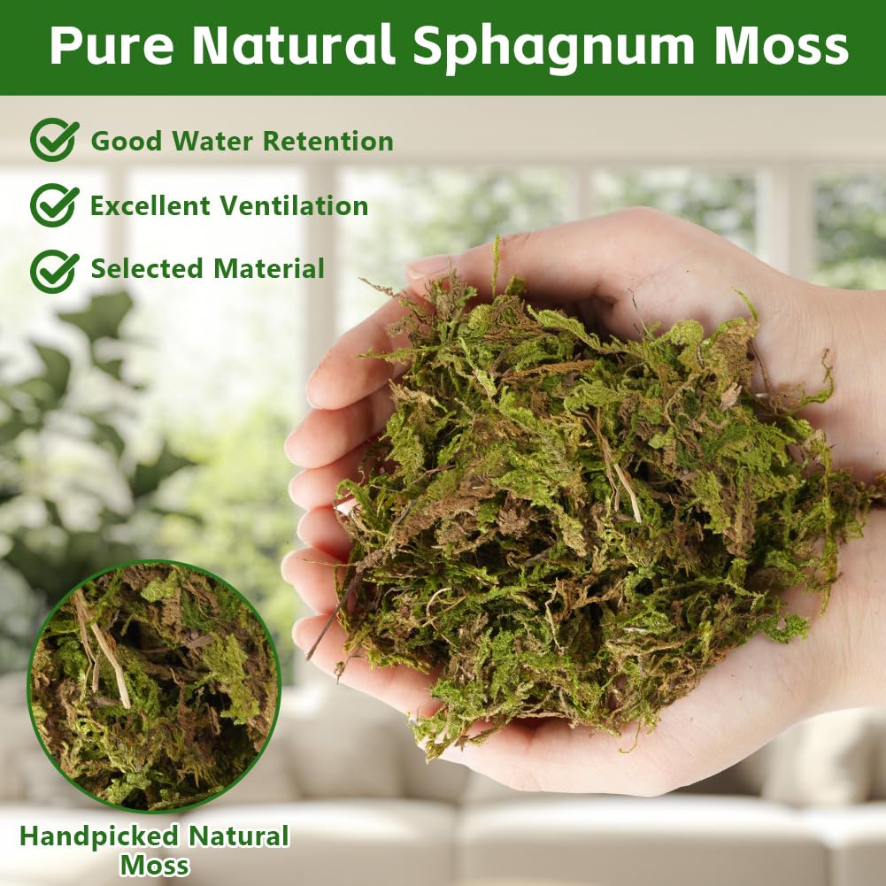 ãOFFCUP 150 g premium mchu torfowcowego do terrarium, naturalny mech terrarium, cegła do gadów, torfowca, do storczyków, roślin mięsożernych, sukulentów, kwiatów ogrodowychÓ