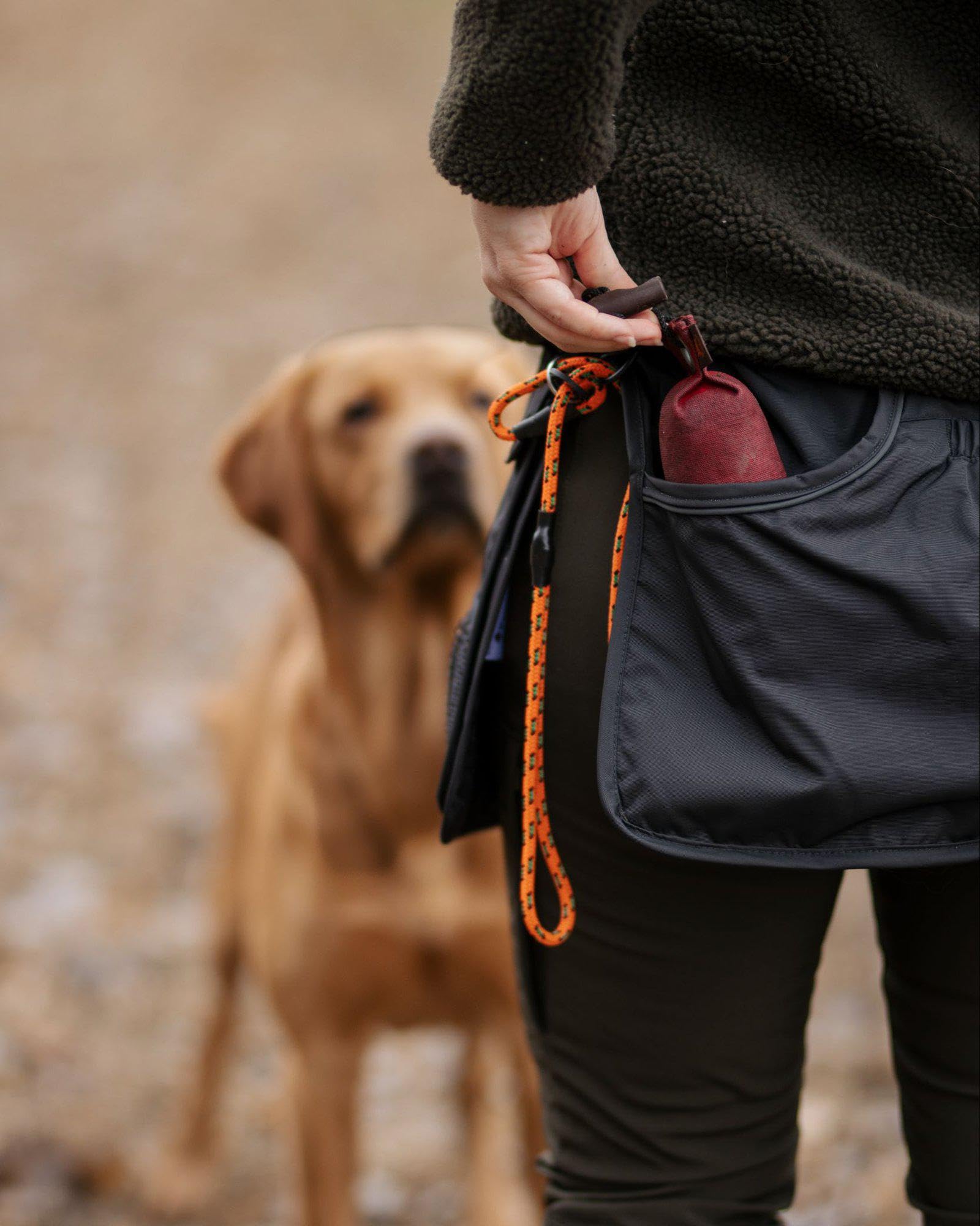Pinewood Dog Sports Utility GÜRTEL Unisex. Zum Wandern, Trekking, Jagd, Hundesport und vielen Outdoor-Aktivitäten