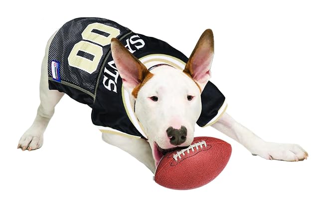 Foto 7 de 7 de Camiseta de la Liga Nacional de Fútbol Americano (NFL) para mascotas