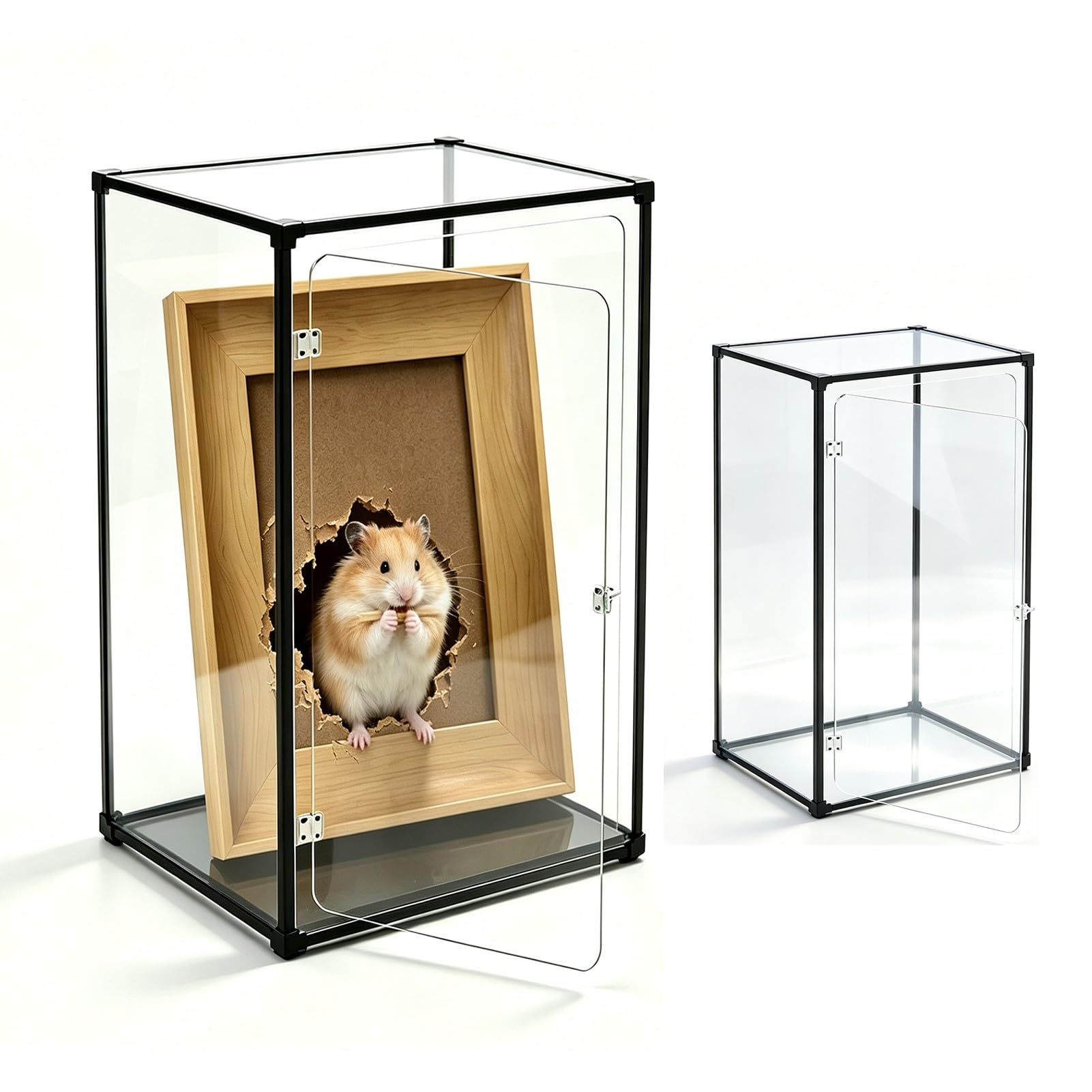 Teca Plexiglass Custodia Organizer Trasparente con Vista a 360°, Cerniera