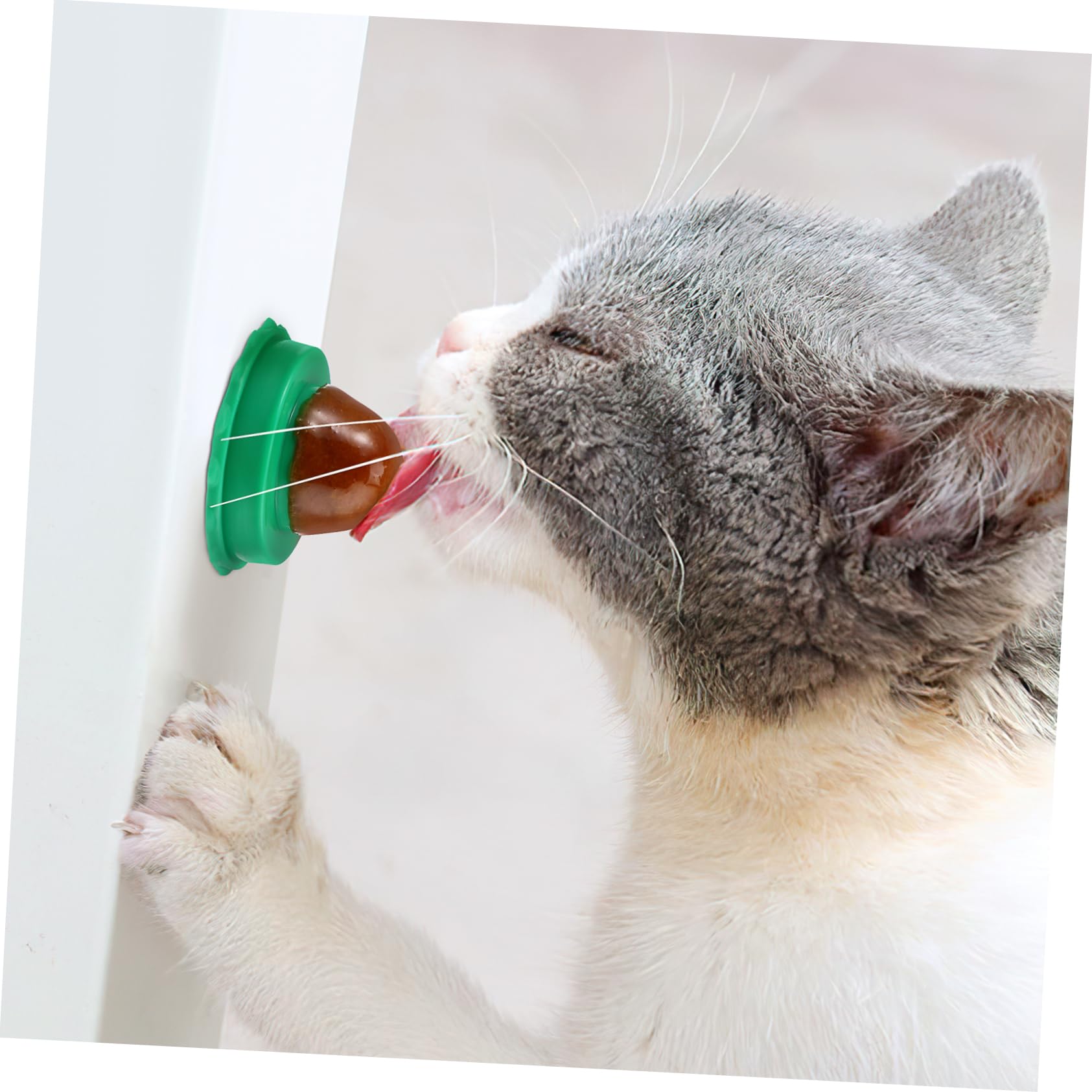 30pezzi Cat Snacks Candy con Catnip Lollipop alla Vitamina e Pesce per Gatti Gusto Casual Nutrienti e Facili da Attaccare al Muro Snack Lickable per Cani e Gatti