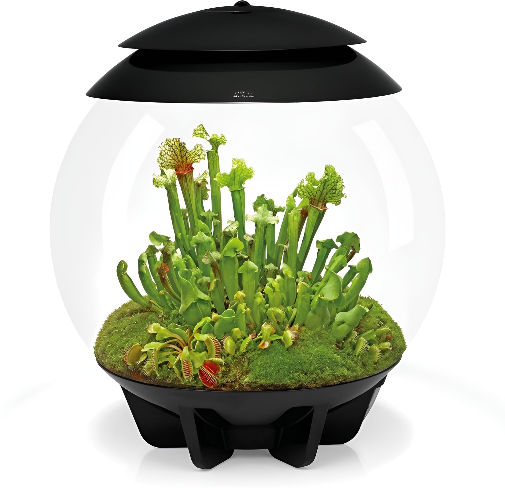 Biorb Air 30 30L Acrylic Terrarium With Led Lighting Ultrasonic Mister Carbon Filter Reptile Amphibian Tank Black