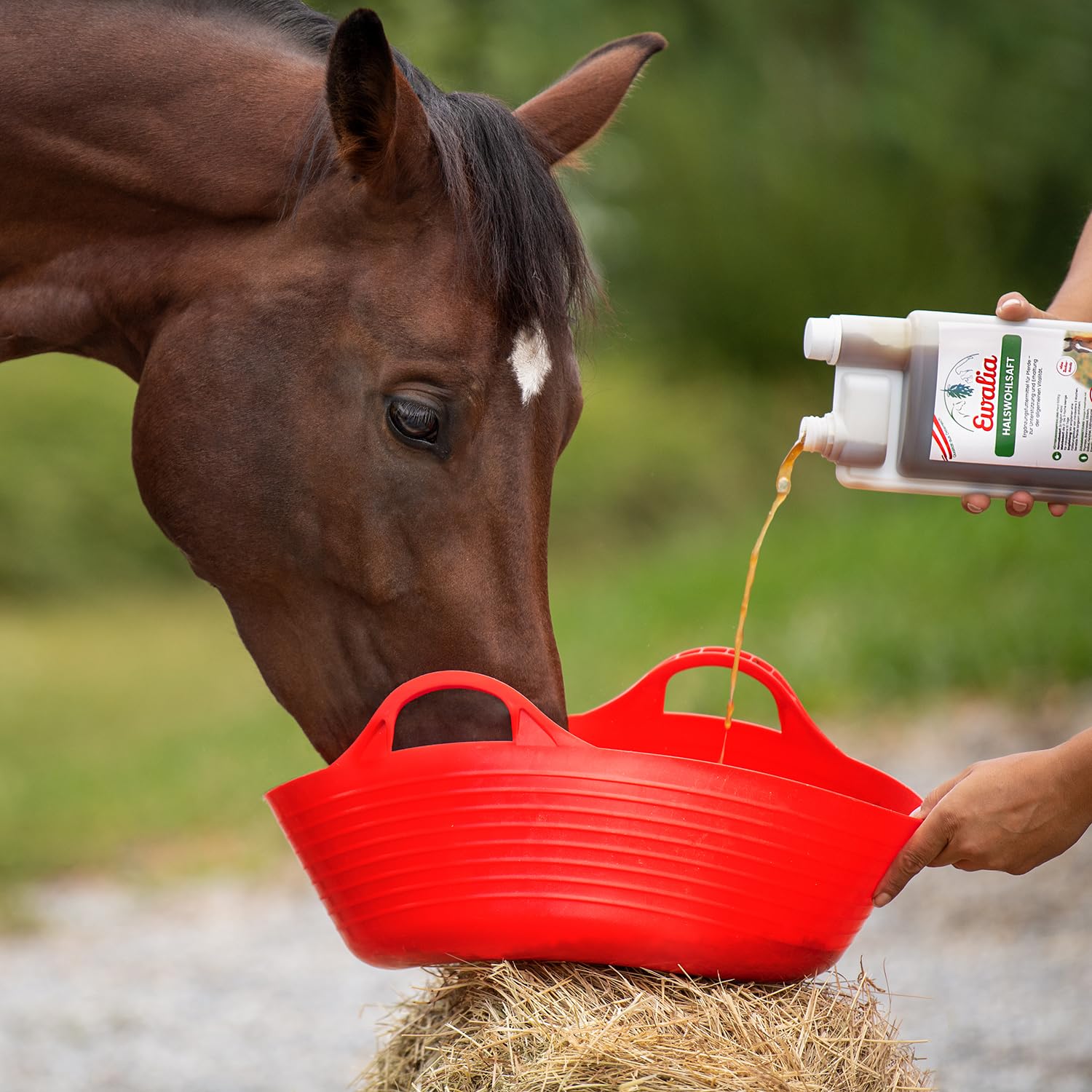 NEU! EWALIA Halswohlsaft - Beruhigendes Ergänzungsfuttermittel für Pferde, Förderung des allgemeinen Wohlbefindens, Natürliche Kräuterformel für Vitalität - mit Tierärzten entwickelt, 2x1 Liter