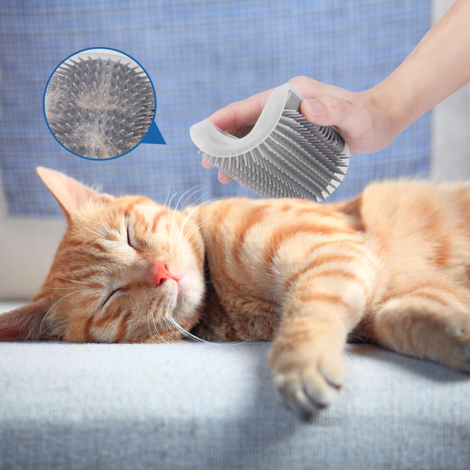 Nobleza 2 Pezzi Gatto Parete Angolo Spazzola, Massaggio Pettine Giocattoli con Catnip per Gatti di Pelliccia Lunghi e Corti