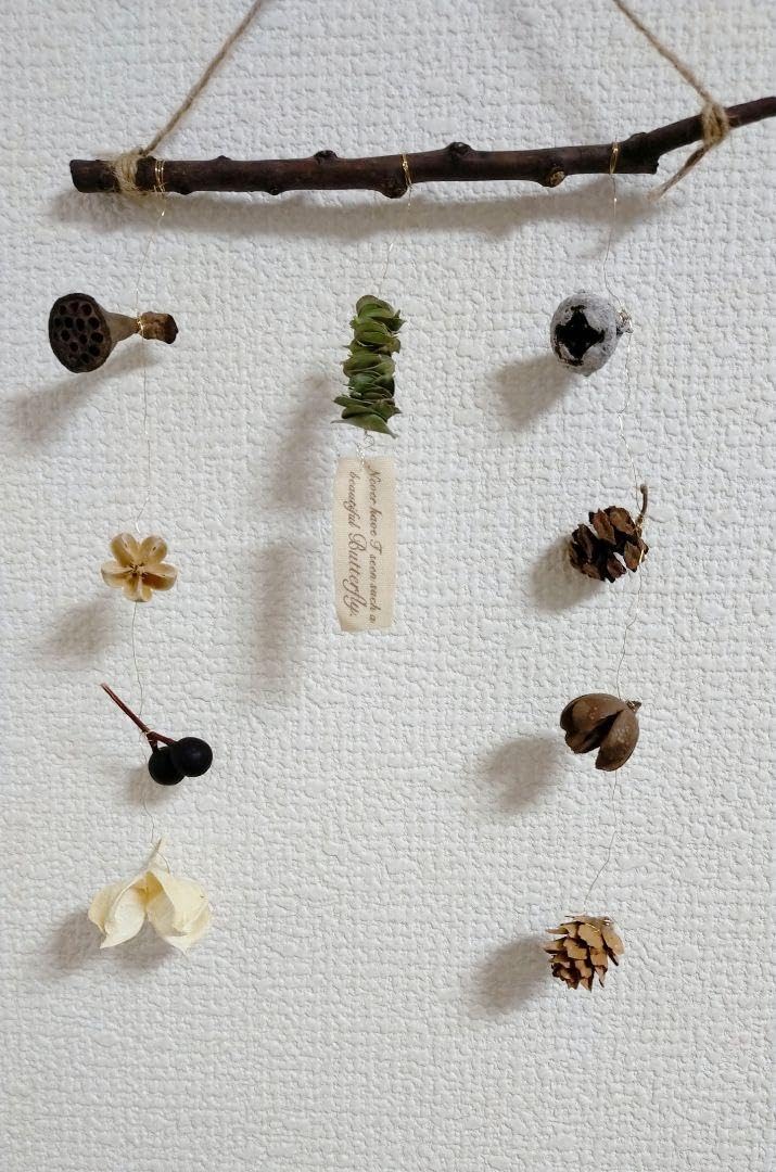 Amazon.co.jp: 木の実ガーランド モビール ユーカリミルフィーユ