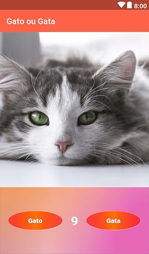 Gato ou Gata