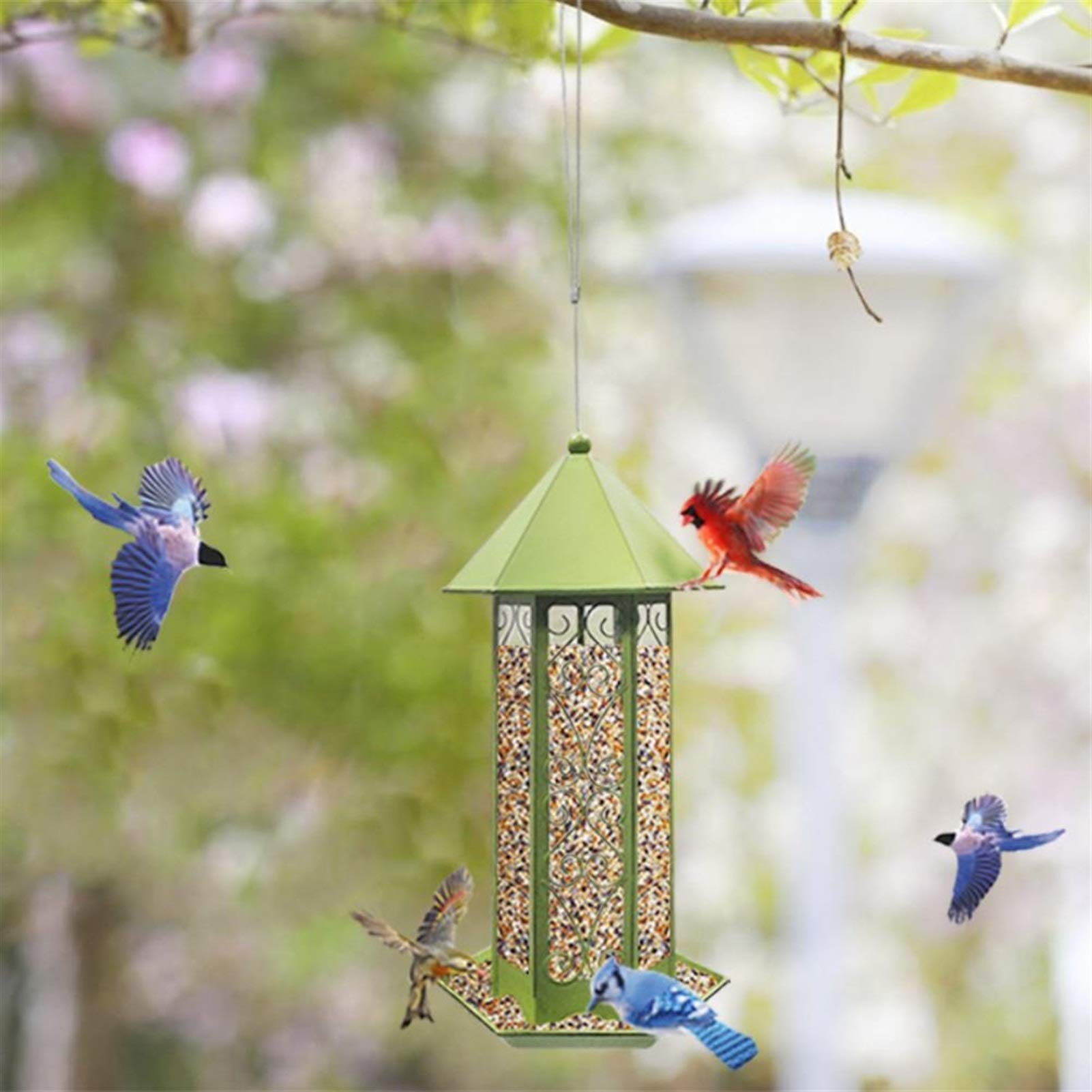 Karmnik dla ptaków Podajniki dla ptaków Wiszące Typ Outdoor Pet Bird Seeds Food Feeder Drzewo Ogród Przekąski Bucket Holder Bird Feeder Feed Station Karmniki dla dzikich ptaków