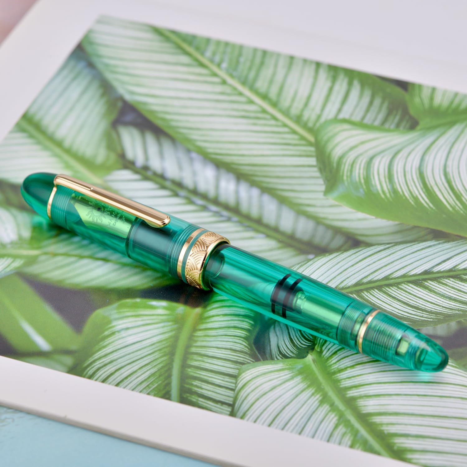 erofa Majohn P140 Pluma de pistón NO.8 Pluma media, gran capacidad Transparente Verde Acrílico Pluma de escritura Regalo con caja