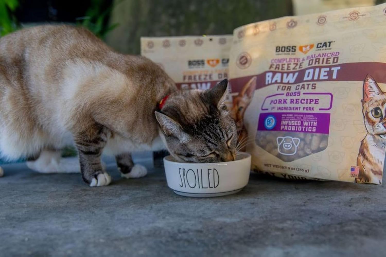 Boss Cat Complete & Balanced Freeze Dried Raw Diet for Cats, Pork Recipe, 9 oz Bag