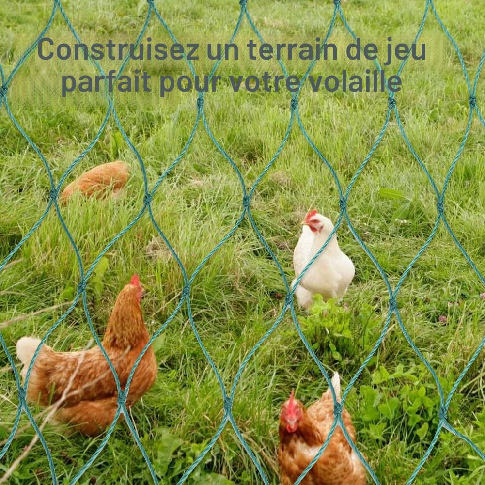 Filet pour volaille en maille de 5 cm avec 36 fils et nœuds solides - Filet pour poules - Clôture mobile (1,5 X 25m)