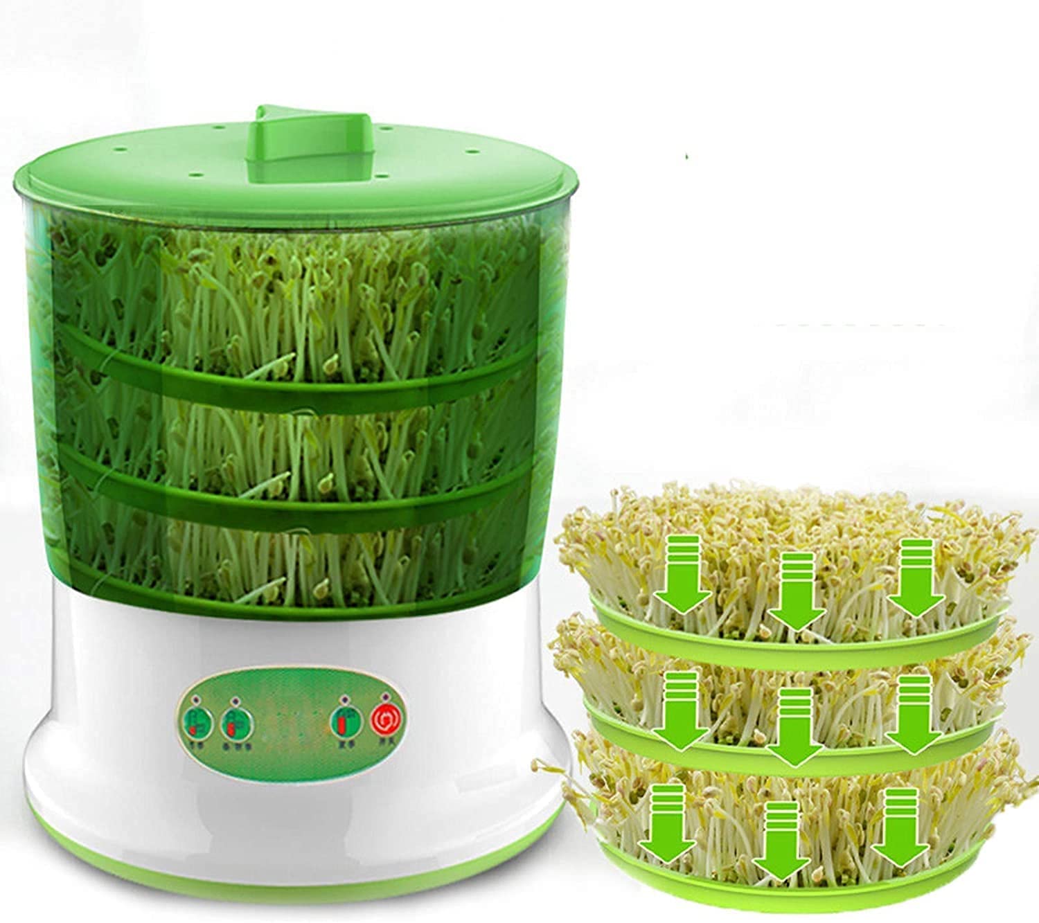 Machine à germes de soja pour des salades fraîches et croquantes