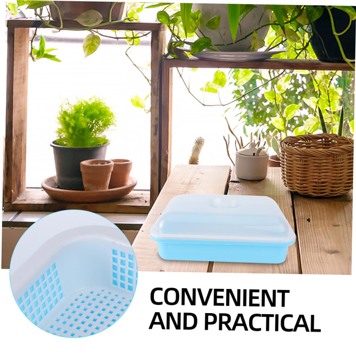 Toddmomy 2 Juegos Bandejas de Germinación para Plantas con Tapa de Accesorios de Jardinería para de Vegetales y Flores para de Huertos y Crecimiento Óptimo de Plantas