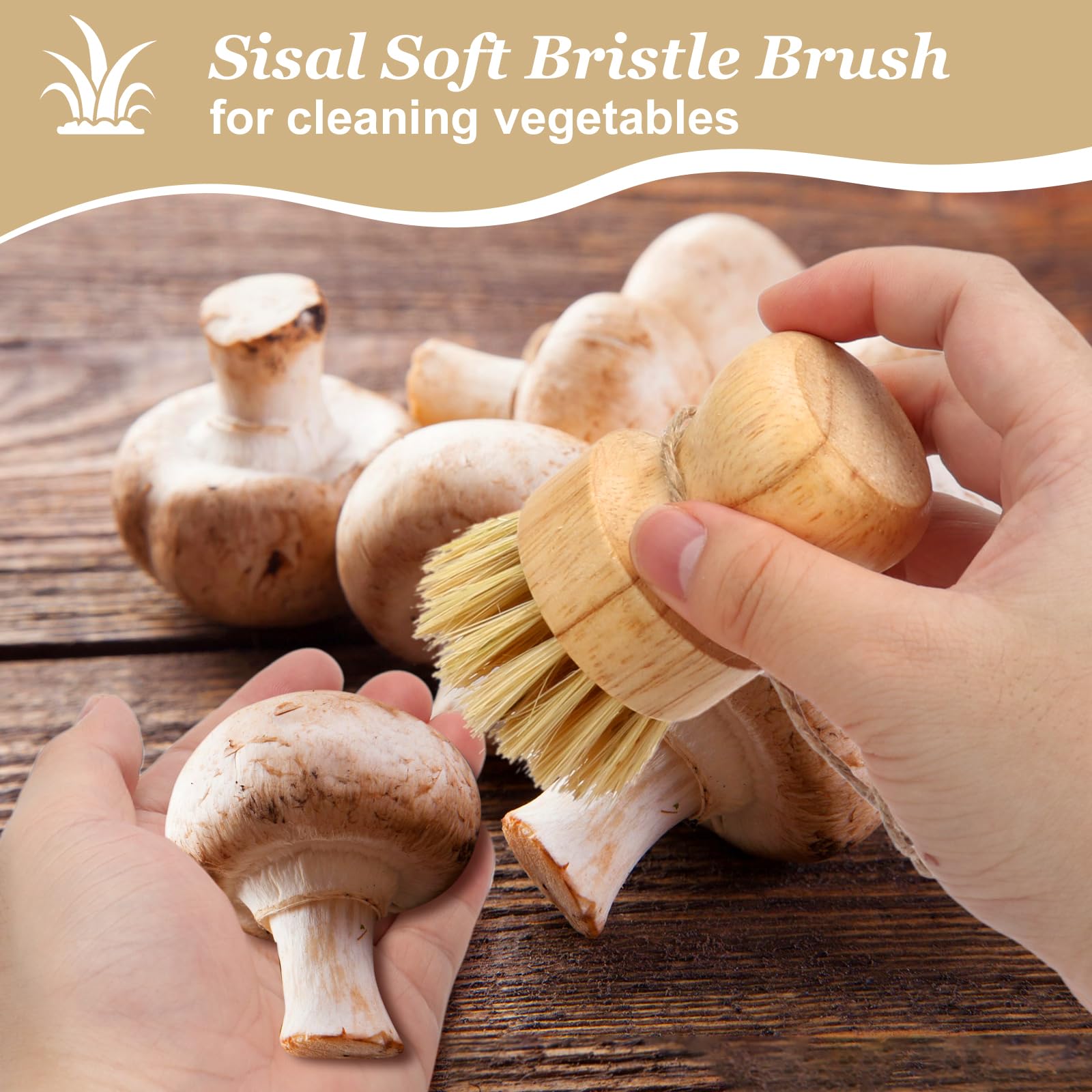 Brosse à Champignons En Bois Et Sisal - Lot De 2 - Pour Vaisselle, Légumes Et Nettoyage Cuisine