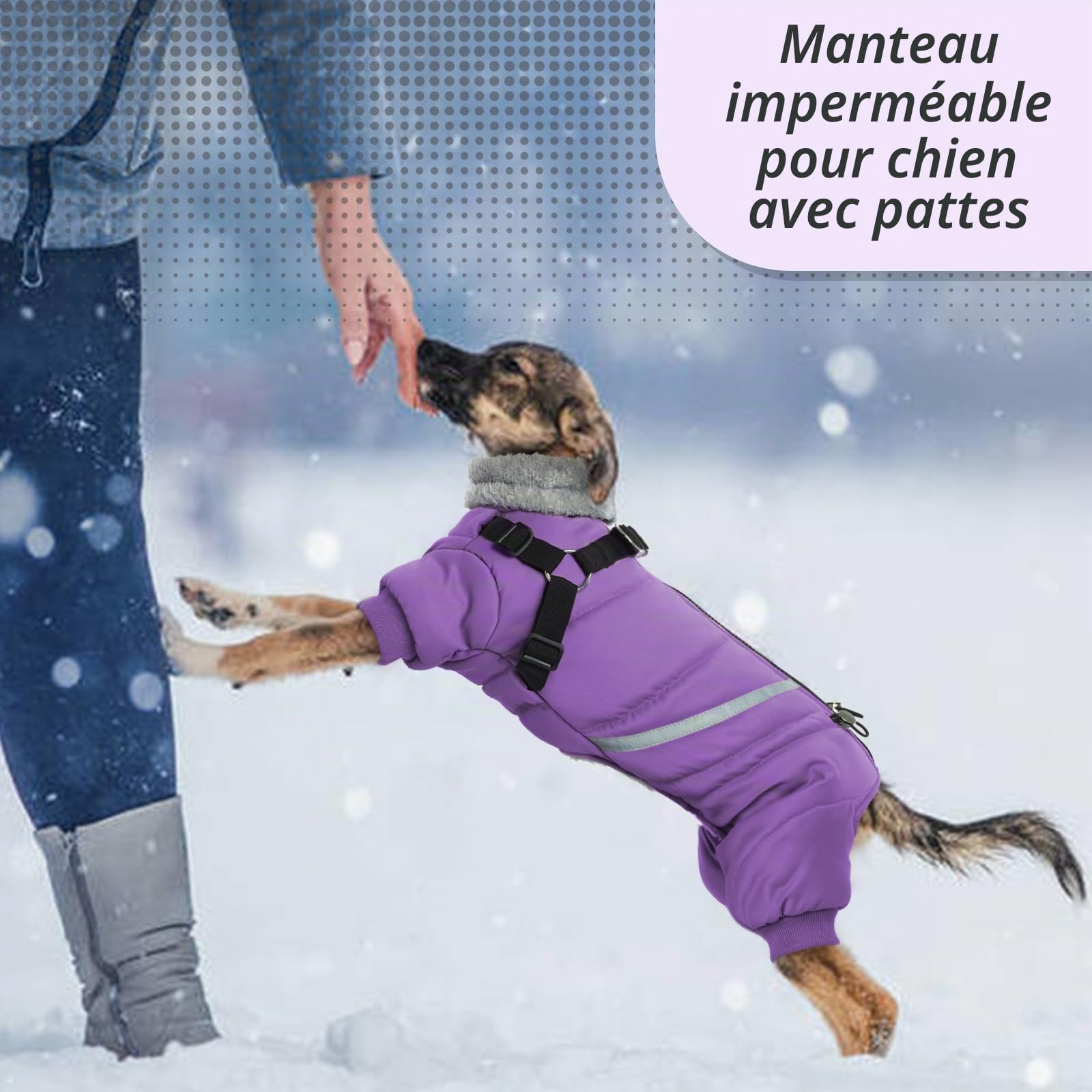Manteau Chien Imperméable, Manteau pour Chien, Manteau Chien avec Harnais, Manteau Chien Hiver, Manteaux d'hiver pour Chiens, Vetement Chien pour Chihuahua Bouledogue Francais - S-XL