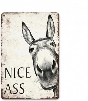 Funny Bathroom Wall Art Nice ASS Sign   Humorous Toilet Decor for Home, Office, Restroom Door   Vintage Metal Tin Sign 20x30cm   Rustic Farmhouse Gift for Men, Women, Coworkers Donkey