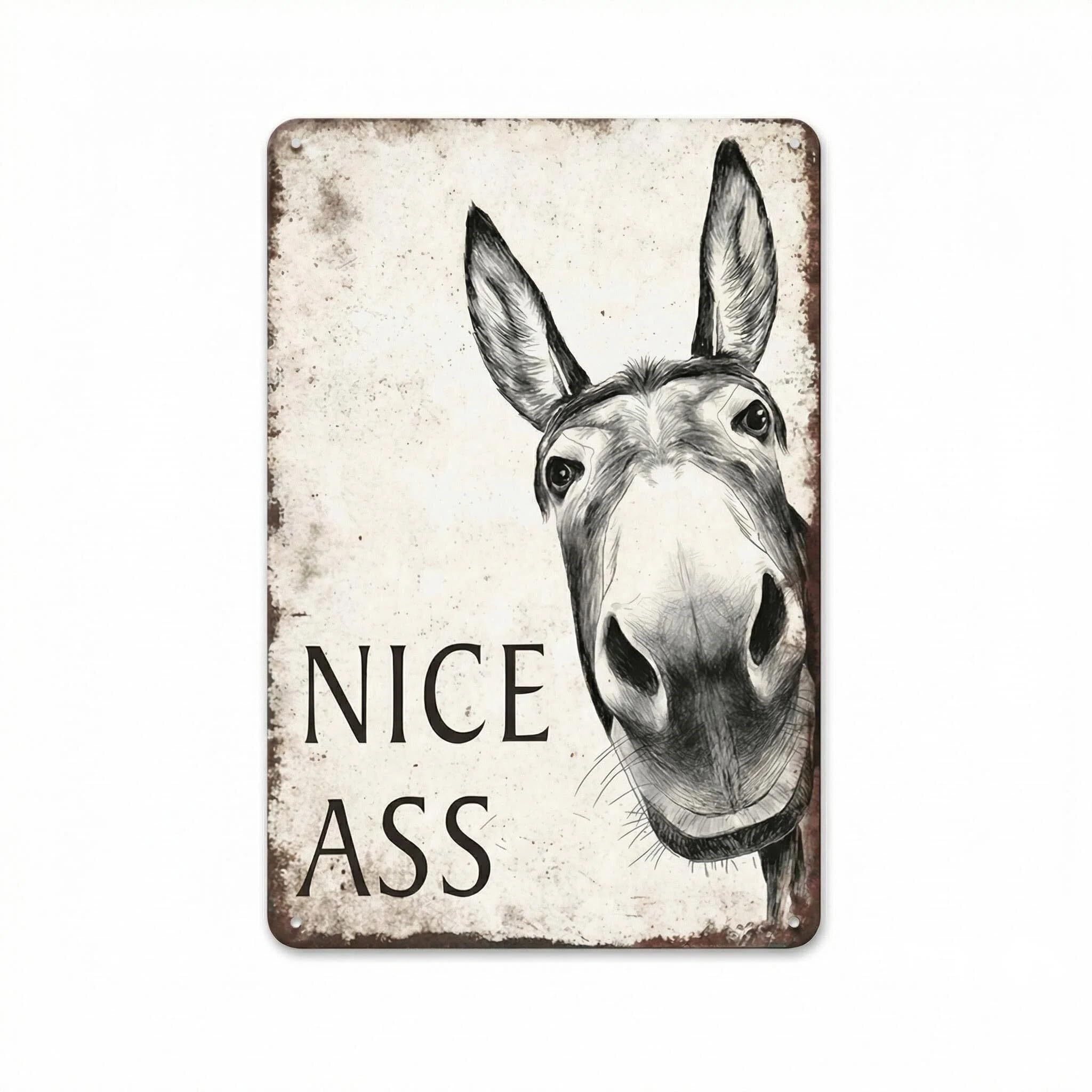 Funny Bathroom Wall Art Nice ASS Sign – Humorous Toilet Decor for Home, Office, Restroom Door – Vintage Metal Tin Sign 20x30cm – Rustic Farmhouse Gift for Men, Women, Coworkers (Donkey)