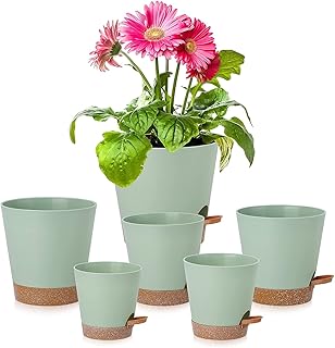 6 Pack Plant Pots 8/7/6.5/6/5.5/5 Inch, Self Watering Planters with Removable High Drainage Deep Reservoir, Plastic Flower Pots, Planters for Indoor Plants, Snake Plant, African Violet, Succulent