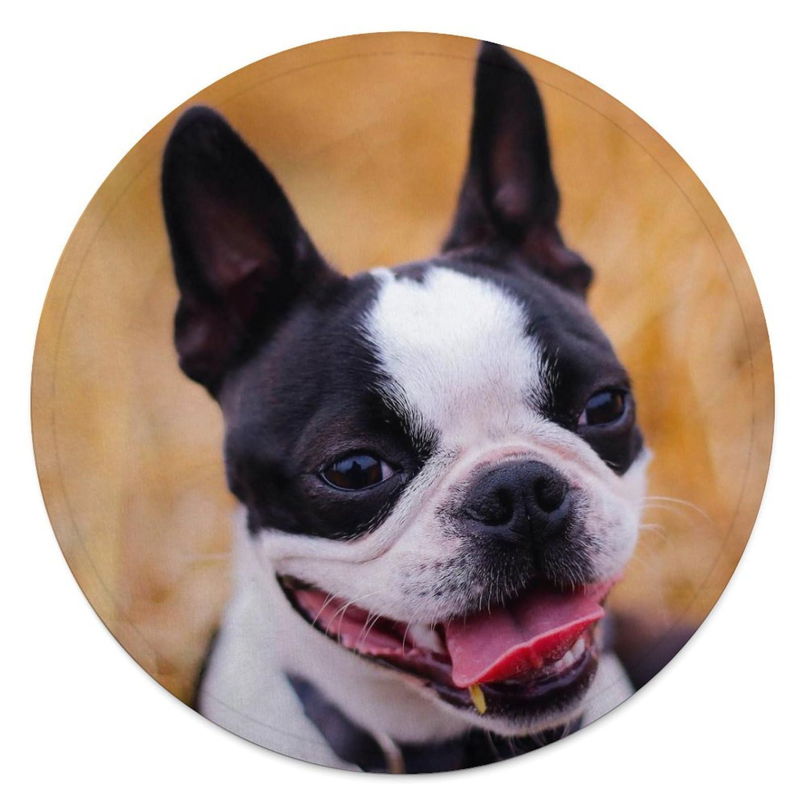 Couverture Boston Terrier ronde pour vos soirées cocooning au salon et camping