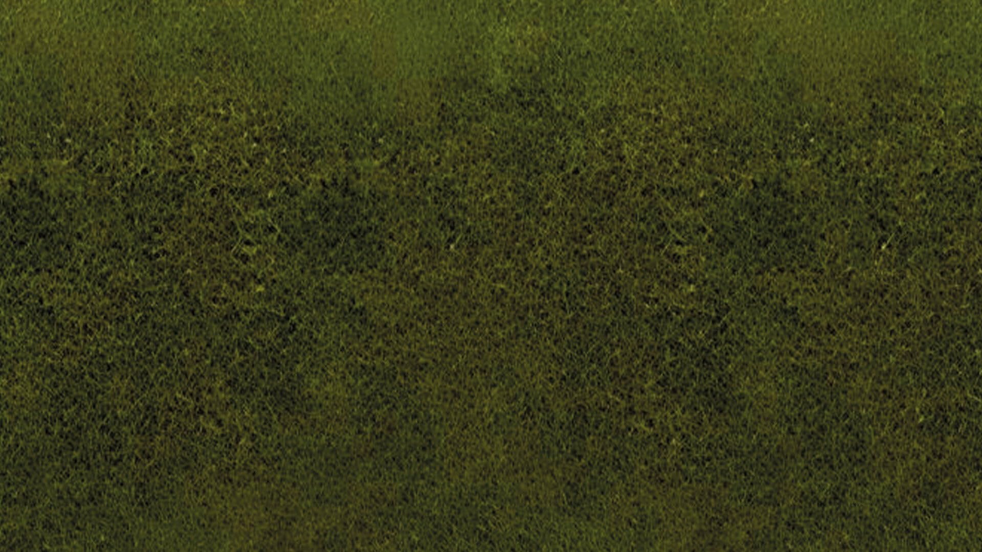 NOCH 00265 - Tappetino per erba fai da te, 120 x 60 cm, colore: Verde