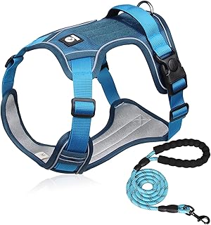 XINIDEA No Pull Dog Harness and Leash Set for Small Large Medium and Extra Large Dogs, Adjustable Breathable Oxford Materi...
