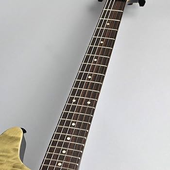 美品 超希少 Fernandes APG series 500本限定品 付属品付 美品 超希少 Fernandes APG series 500本限定品 付属品付